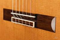 Tamara Stahl - 2020 Cedar