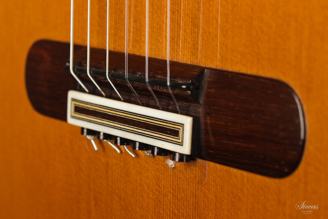 Paulino Bernabé - 2020 - 640 Zeder