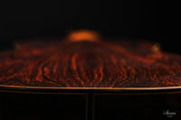 Paulino Bernabé - 2020 - 640 Zeder