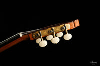 Tamara Stahl - 2020 Cedar