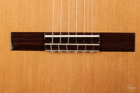 Wolfgang Jellinghaus - "Signature Doubletop" Zeder 63 cm