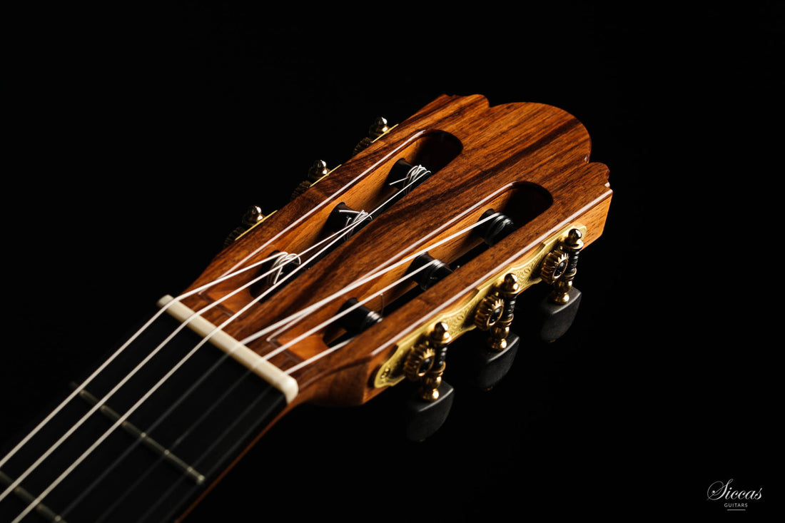 Wolfgang Jellinghaus - "Signature Doubletop" Zeder 63 cm