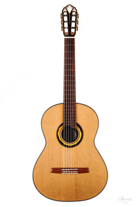 Armin Hanika - HE Doubletop Custom