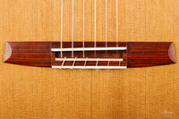 Armin Hanika - HE Doubletop Custom