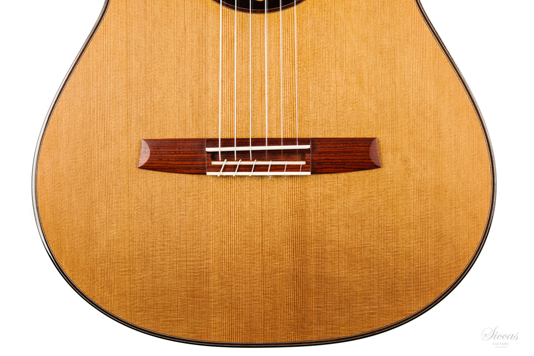 Armin Hanika - HE Doubletop Custom