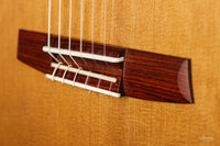Armin Hanika - HE Doubletop Custom