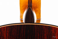 Armin Hanika - HE Doubletop Custom