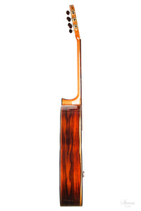 Armin Hanika - HE Doubletop Custom
