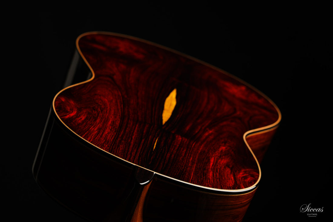 Armin Hanika - HE Doubletop Custom