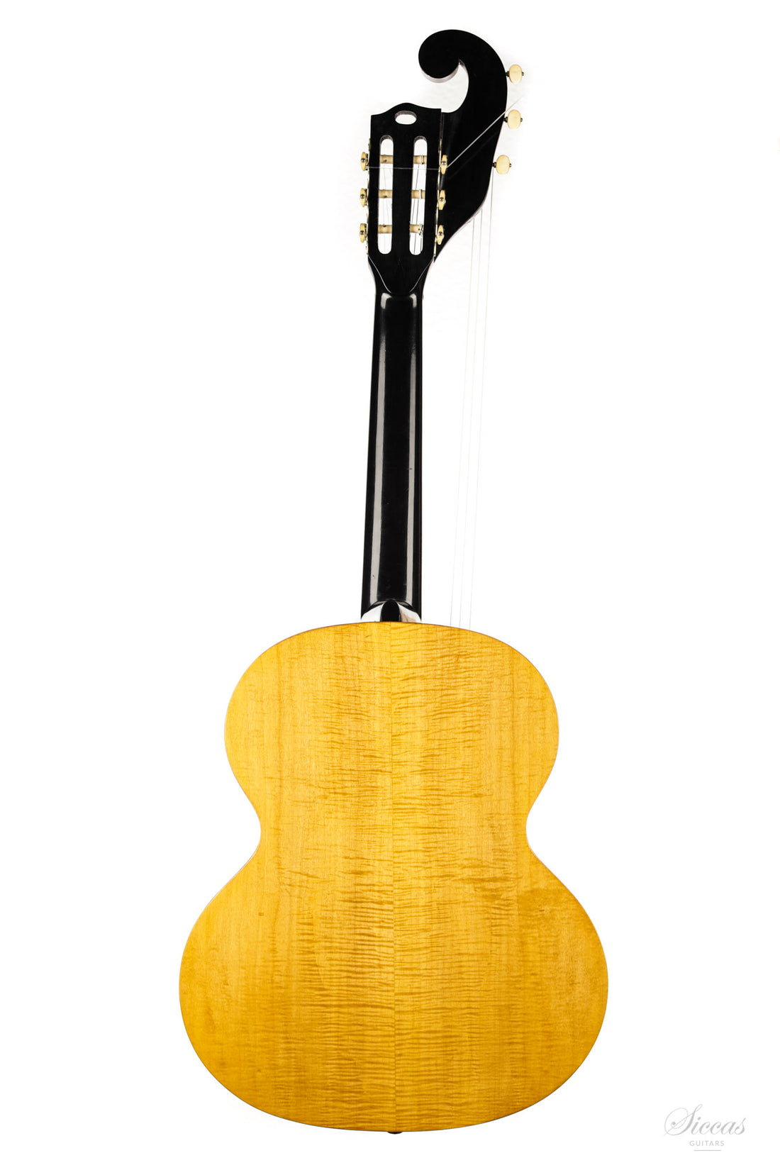 Hermann Hauser ® I - 1923 Kontra