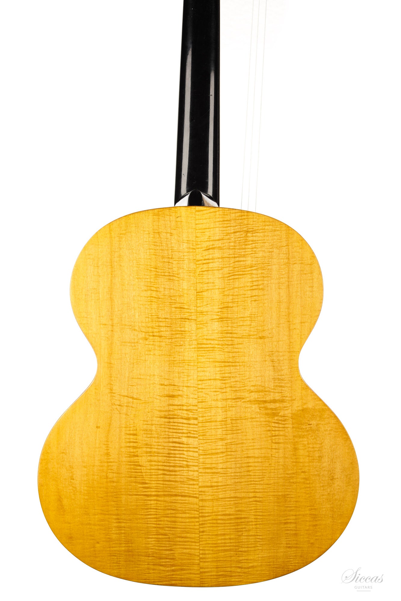 Hermann Hauser ® I - 1923 Kontra