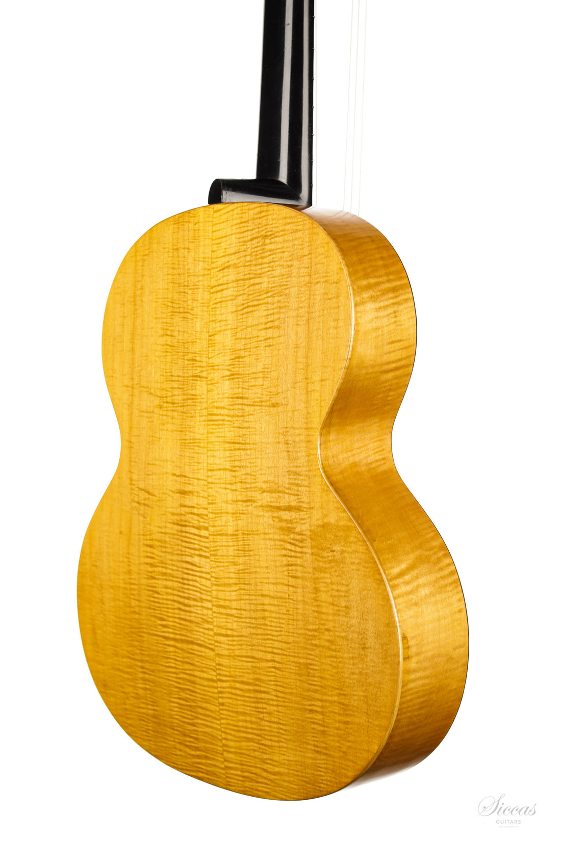 Hermann Hauser ® I - 1923 Kontra