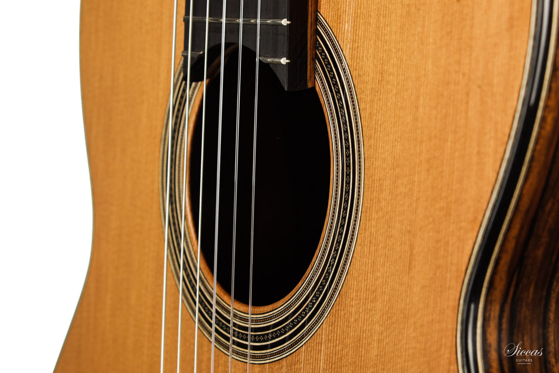 Nils Schebesta - 2020 Zeder