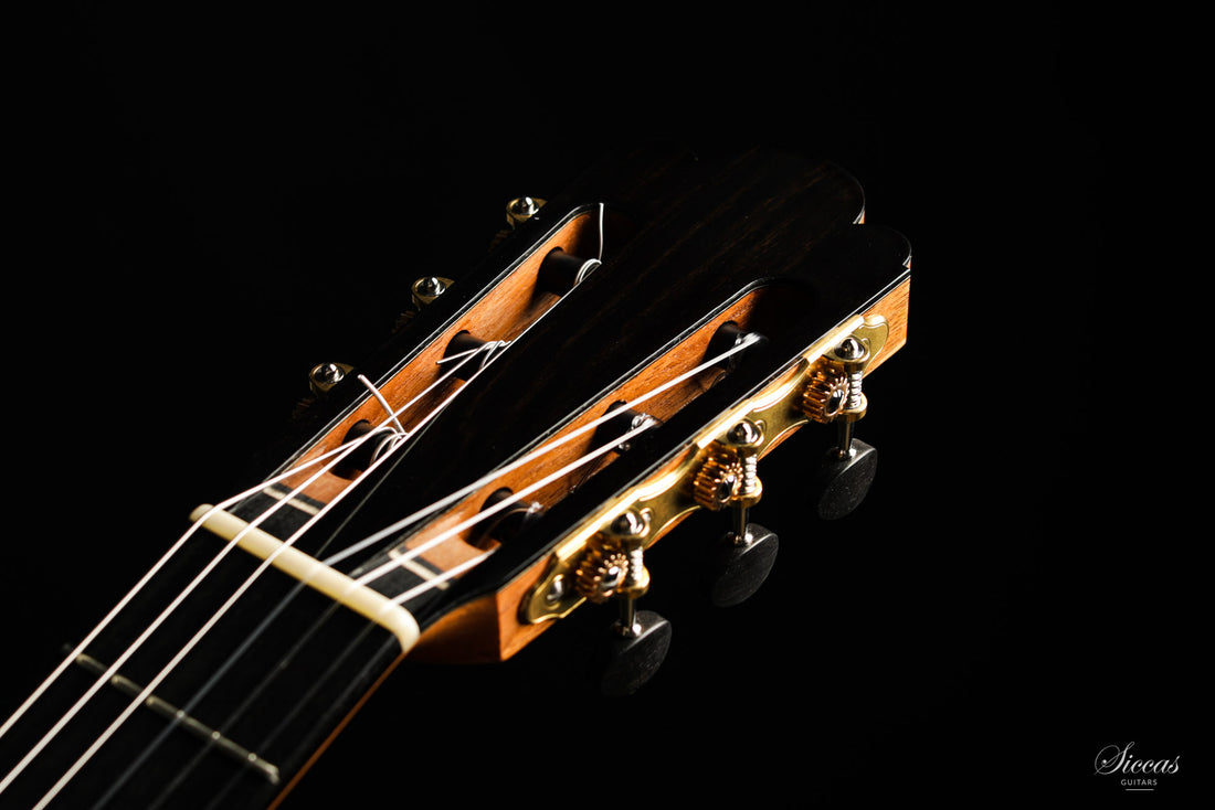 Nils Schebesta - 2020 Fichte