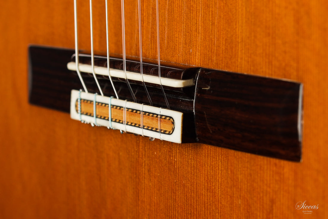 Antonius Müller - 2013 Doubletop