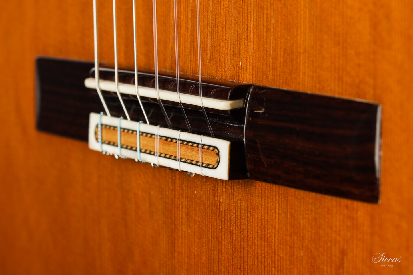 Antonius Müller - 2013 Doubletop
