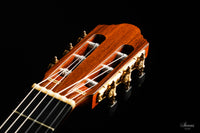 Antonius Müller - 2013 Doubletop