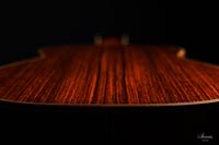 Antonius Müller - 2013 Doubletop