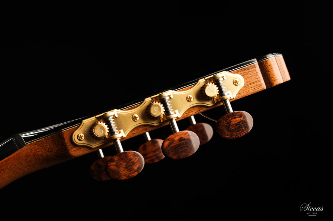 Paulino Bernabé - 2020 Concierto