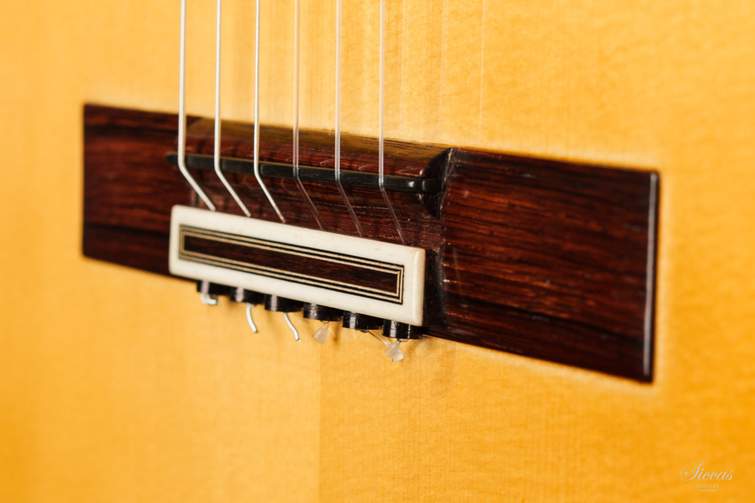 Paulino Bernabé - 2020 Concierto