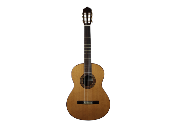 Altamira - N300