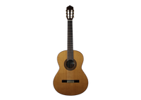 Altamira - N300