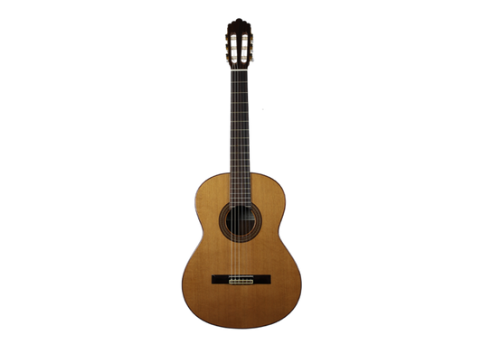 Altamira - N300