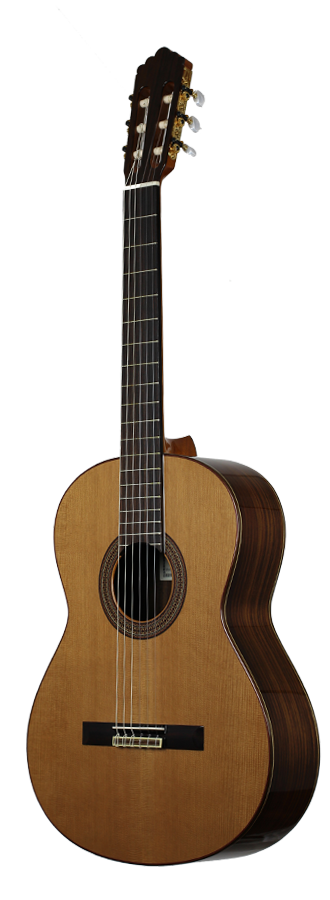 Altamira - N300