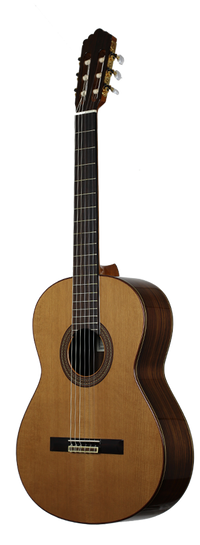 Altamira - N300