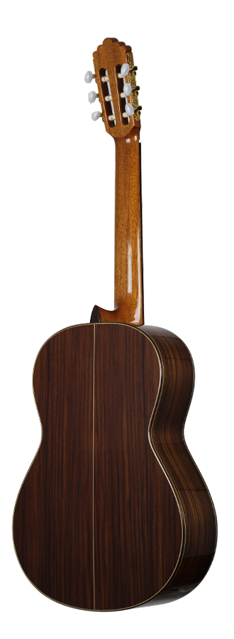 Altamira - N300