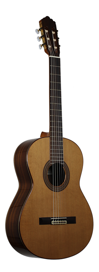 Altamira - N300
