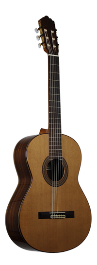 Altamira - N300