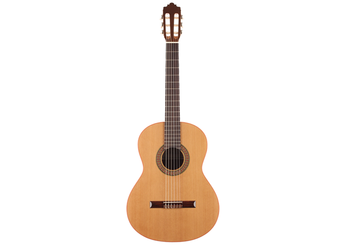 Altamira - N100