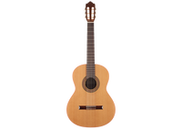 Altamira - N100