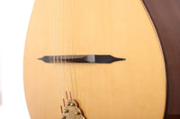Altamira - M10D