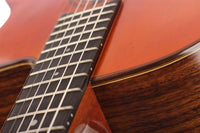 Altamira M30 Antique