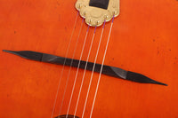 Altamira M30 Antique