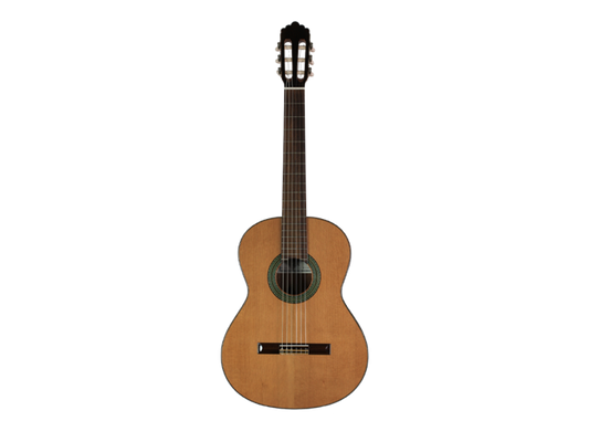 Altamira - N200