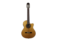 Altamira N300 CE