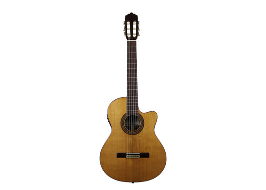 Altamira N300 CE