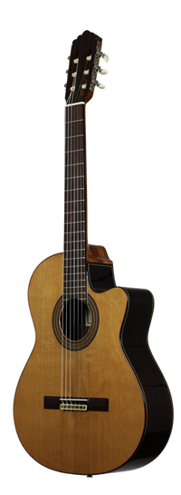 Altamira N300 CE