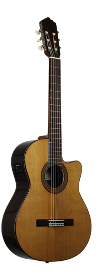 Altamira N300 CE