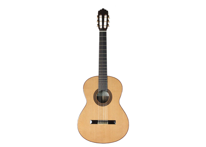 Altamira - N300S