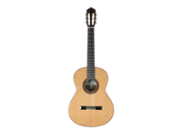 Altamira - N300S