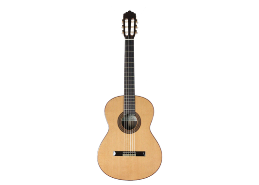Altamira - N300S