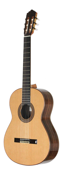 Altamira - N300S
