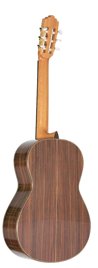 Altamira - N300S