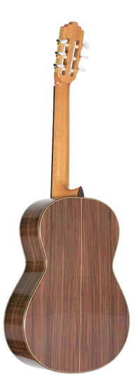 Altamira - N300S