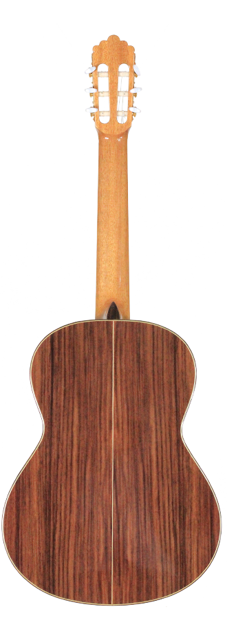 Altamira - N300S