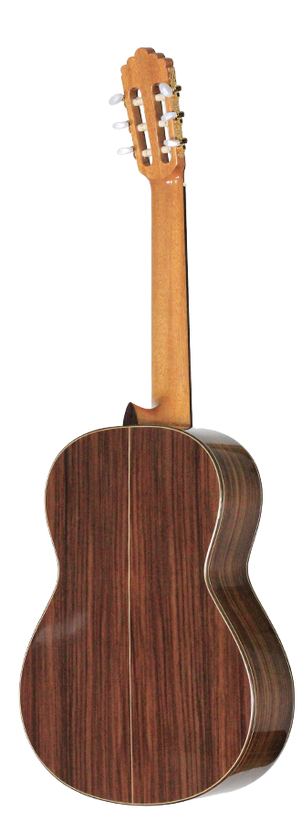 Altamira - N300S